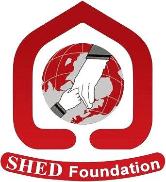 Shed Foundation